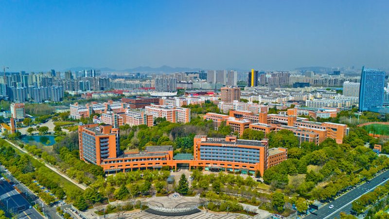 单片机电子模块与开发板：本质差异与应用场景