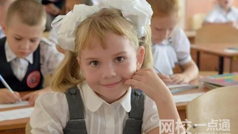 电子模块与芯片：揭秘它们之间的差异与总结方法
